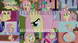 Size: 1986x1116 | Tagged: safe, derpibooru import, edit, edited screencap, editor:quoterific, screencap, angel bunny, fluttershy, pinkie pie, filli vanilli, friendship is magic, green isn't your color, hurricane fluttershy, make new friends but keep discord, party pooped, school daze, secret of my excess, sonic rainboom (episode), stare master, sweet and smoky, the cutie map, the one where pinkie pie knows, cute, :i, image, png, resistance is futile, shyabetes