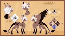 Size: 3990x2230 | Tagged: safe, artist:honeybbear, derpibooru import, oc, oc:asher, pegasus, pony, image, male, png, reference sheet, solo, stallion, two toned wings, wings