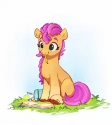 Size: 1067x1189 | Tagged: safe, artist:thefloatingtree, derpibooru import, sunny starscout, earth pony, pony, female, g5, grass, image, jpeg, mouth hold, pencil, shoulder bag, sitting, smiling, solo, tennis ball