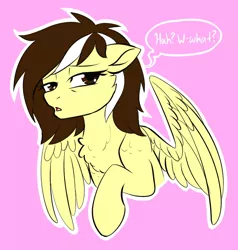 Size: 1024x1075 | Tagged: safe, artist:whitehershey, derpibooru import, oc, oc:white crystal, oc:white hershey, unofficial characters only, pegasus, pony, chest fluff, female, image, jpeg, simple background, solo