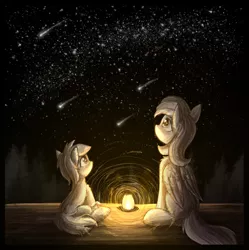 Size: 2079x2086 | Tagged: safe, artist:atlas-66, derpibooru import, rosy posy, sunshower raindrops, earth pony, pegasus, pony, duo, female, filly, image, lamp, light, mare, png, shooting star, stars, watching