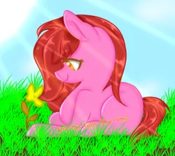Size: 692x620 | Tagged: safe, artist:intan shiny, artist:velveagic silver, derpibooru import, oc, oc:lunatia elsa, earth pony, pony, alone, art trade, blue background, brown eyes, calm, cute, female, flower, grass, happy, image, lightning, png, red hair, simple background, sky, smiling, solo