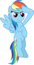 Size: 3000x5632 | Tagged: safe, artist:cloudyglow, derpibooru import, rainbow dash, pegasus, pony, the return of harmony, .ai available, female, flying, image, png, salute, simple background, solo, transparent background, vector