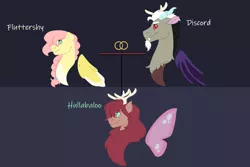 Size: 1280x854 | Tagged: safe, artist:itstechtock, derpibooru import, discord, fluttershy, oc, oc:hullaballoo, hybrid, cute, cute little fangs, discoshy, fangs, female, image, interspecies offspring, male, offspring, parent:discord, parent:fluttershy, parents:discoshy, png, shipping, straight