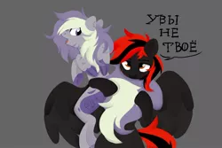 Size: 1280x853 | Tagged: safe, artist:shiny-dust, derpibooru import, oc, unofficial characters only, pony, cyrillic, duo, image, jpeg, red and black oc, russian, simple background