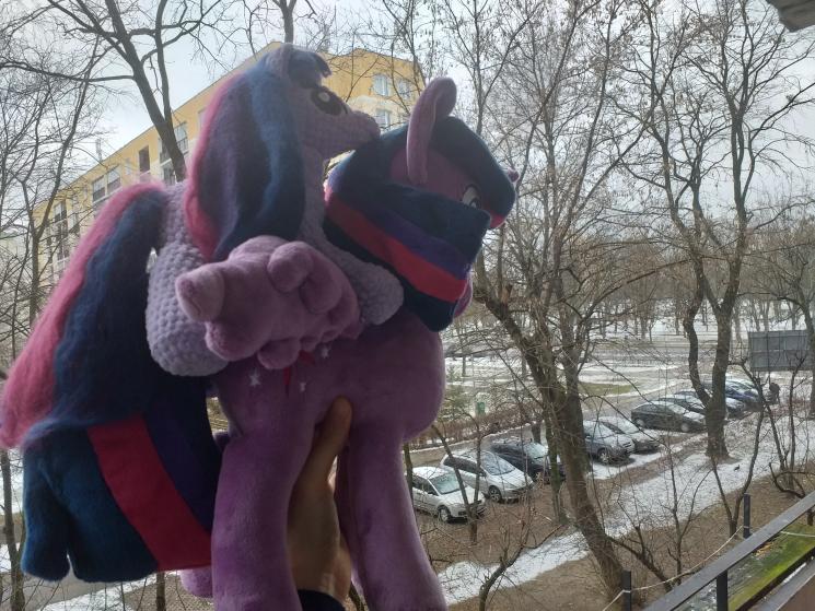 Size: 745x559 | Tagged: safe, derpibooru import, twilight sparkle, twilight sparkle (alicorn), alicorn, pony, unicorn, crochet, image, irl, jpeg, photo, plushie, poland, ponies riding ponies, riding, self ponidox, self riding, unicorn twilight