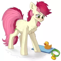 Size: 2500x2509 | Tagged: safe, artist:chibadeer, derpibooru import, roseluck, earth pony, pony, behaving like a cat, blushing, chest fluff, collar, commissioner:doom9454, cute, fluffy, image, leg fluff, pet tag, png, pony pet, rosepet, wet