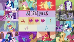 Size: 2000x1125 | Tagged: safe, derpibooru import, edit, edited screencap, editor:quoterific, screencap, apple bloom, applejack, big macintosh, cloudy quartz, fluttershy, igneous rock pie, limestone pie, marble pie, maud pie, pinkie pie, princess celestia, princess luna, rainbow dash, rarity, scootaloo, shining armor, spike, sweetie belle, twilight sparkle, twilight sparkle (alicorn), zephyr breeze, alicorn, dragon, earth pony, a canterlot wedding, brotherhooves social, call of the cutie, crusaders of the lost mark, do princesses dream of magic sheep, flutter brutter, hearthbreakers, sisterhooves social, sleepless in ponyville, sparkle's seven, apple, apple tree, crown, cutie mark crusaders, female, food, hard-won helm of the sibling supreme, honorary sister, hoof around neck, hug, image, jewelry, male, mane seven, mane six, pie sisters, png, regalia, rock soup, siblings, sisters, soup, tree, winged spike