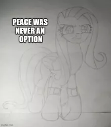 Size: 500x571 | Tagged: safe, artist:cobra0281, derpibooru import, fluttershy, pegasus, pony, angery, angry, boxing gloves, female, grayscale, image, jpeg, monochrome, peace was never an option, pencil drawing, photo, ponified animal photo, solo, traditional art