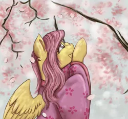 Size: 3000x2792 | Tagged: safe, artist:shamy-crist, derpibooru import, fluttershy, pegasus, pony, cherry blossoms, clothes, flower, flower blossom, image, kimono (clothing), png, solo