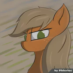 Size: 2200x2200 | Tagged: safe, artist:phlerius, derpibooru import, applejack, earth pony, pony, bust, digital art, female, image, mare, png, solo