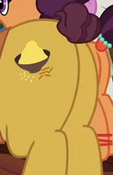 Size: 244x377 | Tagged: safe, derpibooru import, screencap, coriander cumin, saffron masala, twinkleshine, pony, unicorn, spice up your life, butt, cropped, cutie mark, image, pictures of butts, plot, png