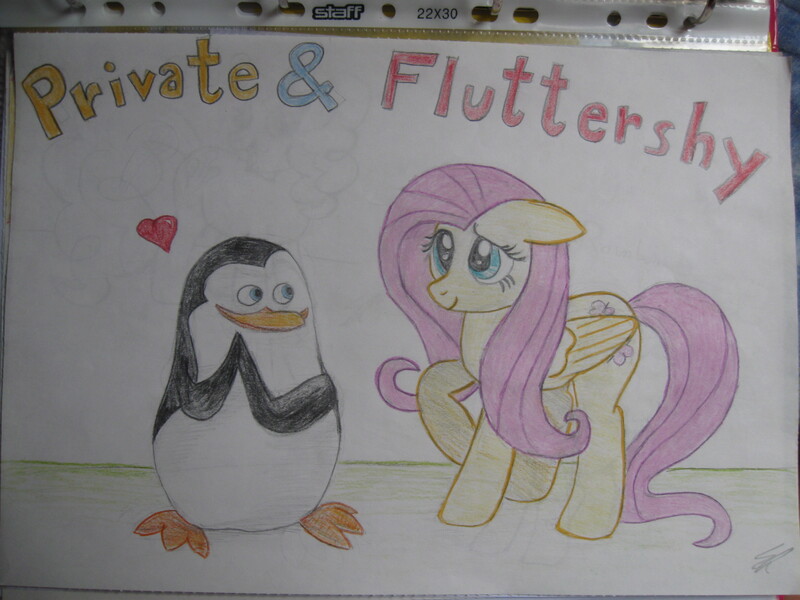 Size: 3264x2448 | Tagged: artist needed, safe, derpibooru import, fluttershy, bird, pegasus, penguin, pony, crossover, crossover shipping, cute, female, image, interspecies, jpeg, madagascar (movie), male, private, shipping, straight, the penguins of madagascar