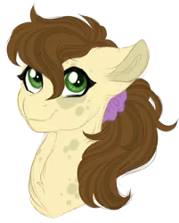 Size: 600x745 | Tagged: safe, artist:azure-art-wave, derpibooru import, oc, oc:silent song, earth pony, pony, bust, female, image, mare, not heidi hay, png, portrait, simple background, solo, transparent background