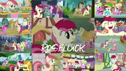 Size: 1974x1111 | Tagged: safe, derpibooru import, edit, edited screencap, editor:quoterific, screencap, angel bunny, berry punch, berryshine, bon bon, carrot top, cherry berry, cloud kicker, daisy, doctor whooves, flower wishes, fluttershy, golden harvest, goldengrape, gooseberry, lemon hearts, lily, lily valley, pokey pierce, roseluck, sassaflash, scootaloo, seabreeze, sir colton vines iii, starlight glimmer, sugar belle, sweetie drops, time turner, breezie, earth pony, pegasus, pony, unicorn, a friend in deed, a trivial pursuit, applebuck season, best gift ever, bridle gossip, it ain't easy being breezies, it isn't the mane thing about you, no second prances, she talks to angel, slice of life (episode), student counsel, the big mac question, 3d glasses, bipedal, bipedal leaning, body swap, clothes, ear fluff, eyes closed, female, filly, flower, flower trio, friendship student, hat, helmet, image, leaning, male, older, older scootaloo, open mouth, png, scarf, school of friendship, scooter, trotting, twilight's castle, walking, winter outfit