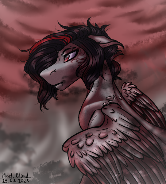 Size: 2894x3207 | Tagged: safe, artist:blackcloud2000, derpibooru import, oc, oc:black cloud, pegasus, pony, image, male, png, solo, stallion