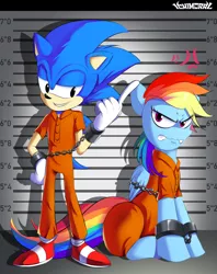 Size: 1376x1739 | Tagged: safe, artist:ichimoral, derpibooru import, rainbow dash, bashing, bound wings, chains, clothes, cuffs, frustrated, image, jpeg, line-up, prisoner, prisoner rd, prison outfit, shackles, smug, sonic the hedgehog, sonic the hedgehog (series), wings