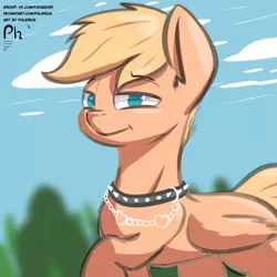 Size: 4000x4000 | Tagged: safe, artist:phlerius, derpibooru import, oc, unofficial characters only, pegasus, pony, collar, digital art, image, male, png, solo, spiked collar, stallion