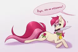Size: 2150x1454 | Tagged: safe, artist:barlerd, derpibooru import, roseluck, earth pony, pony, collar, commission, commissioner:doom9454, cute, cyrillic, female, image, knife, long tail, lying down, mare, mouth hold, pet tag, png, pony pet, prone, rosepet, russian, solo, text, translated in the description, yandere