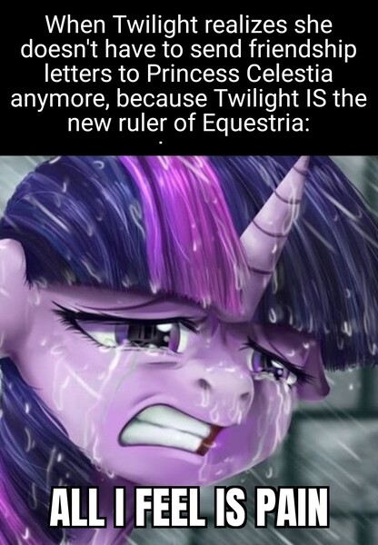 Size: 942x1360 | Tagged: safe, artist:candyclumsy, derpibooru import, edit, twilight sparkle, twilight sparkle (alicorn), alicorn, pony, caption, cropped, crying, disappointed, feels, feels bad man, female, image, image macro, jpeg, meme, pain, rain, realization, sad, solo, text, withdrawal