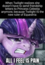 Size: 942x1360 | Tagged: safe, artist:candyclumsy, derpibooru import, edit, twilight sparkle, twilight sparkle (alicorn), alicorn, pony, caption, cropped, crying, disappointed, feels, feels bad man, female, image, image macro, jpeg, meme, pain, rain, realization, sad, solo, text, withdrawal