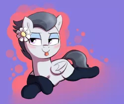 Size: 2427x2043 | Tagged: safe, artist:heretichesh, derpibooru import, rumble, pegasus, pony, blushing, clothes, colt, crossdressing, crossed legs, flower, flower in hair, girly, image, lying down, makeup, male, mlem, png, silly, smug, socks, solo, tongue out