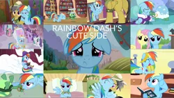 Size: 1972x1111 | Tagged: safe, derpibooru import, edit, edited screencap, editor:quoterific, screencap, daring do, fluttershy, pinkie pie, rainbow dash, rarity, tank, twilight sparkle, earth pony, pegasus, pony, turtle, unicorn, a friend in deed, daring don't, just for sidekicks, read it and weep, stranger than fan fiction, swarm of the century, tanks for the memories, the best night ever, the super speedy cider squeezy 6000, trade ya, bag, bandage, blushing, book, carousel boutique, clothes, cloudsdale, crying, cute, dashabetes, dress, duo, duo female, excited, eyes closed, female, floppy ears, gala dress, goggles, golden oaks library, hat, hug, image, library, male, open mouth, png, puppy dog eyes, sad, sadbow dash, saddle bag, safari hat, shyabetes, snow, teeth, tourist, unicorn twilight, winghug, wings, winter outfit