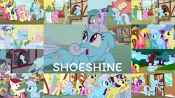 Size: 1974x1112 | Tagged: safe, derpibooru import, edit, edited screencap, editor:quoterific, screencap, all aboard, amethyst star, angel bunny, berry punch, berryshine, bon bon, cherry berry, daisy, flower wishes, fluttershy, goldengrape, lightning riff, linky, lock heart, lyra heartstrings, meadow song, rainbow dash, roseluck, rosy pearl, sassaflash, shoeshine, sir colton vines iii, spike, sweetie drops, twilight sparkle, dragon, pegasus, pony, rabbit, unicorn, a hearth's warming tail, between dark and dawn, dragonshy, friendship university, games ponies play, it isn't the mane thing about you, magic duel, putting your hoof down, secrets and pies, the big mac question, the super speedy cider squeezy 6000, the ticket master, winter wrap up, angry, animal, background pony, carrot, christmas wreath, clothes, clothes line, eating, eyes closed, female, floppy ears, flower, food, glasses, golden oaks library, gritted teeth, hoof hold, image, las pegasus resident, library, meme, mouth hold, on stomach, open mouth, png, pointing, rose, shoeshine's window, sitting, sitting lyra, sugarcube corner, teeth, train, unicorn twilight, vest, walking, wreath
