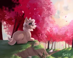 Size: 1900x1500 | Tagged: safe, artist:silentwulv, derpibooru import, oc, oc:clay, earth pony, pony, cherry blossoms, female, flower, flower blossom, image, lying down, mare, png, prone, solo, tree