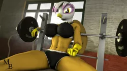 Size: 1920x1080 | Tagged: suggestive, artist:masterbrony, derpibooru import, gilda, anthro, gryphon, 3d, abs, breasts, busty gilda, clothes, come hither, gym, image, looking at you, png, solo, story included, workout