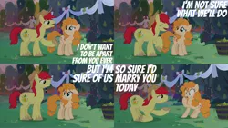 Size: 1986x1117 | Tagged: safe, derpibooru import, edit, edited screencap, editor:quoterific, screencap, bright mac, pear butter, earth pony, pony, the perfect pear, bright mac's hat, cowboy hat, duo, female, hat, image, male, marriage, open mouth, png, teeth