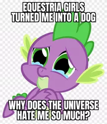 Size: 840x970 | Tagged: safe, derpibooru import, spike, equestria girls, abuse, alpha channel, caption, crying, go to sleep garble, i can't believe it's not useraccount, image, image macro, jpeg, male, meme, op is a duck, op is trying to start shit, sad, shitposting, solo, spikeabuse, spikeposting, text, truth