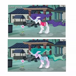 Size: 1080x1080 | Tagged: safe, artist:luna.queex, derpibooru import, edit, edited screencap, screencap, mistmane, rarity, pony, building, clothes, duo, eyes closed, female, flower, image, jpeg, mare, mistmane's flower, outdoors, raised hoof