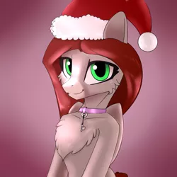Size: 2000x2000 | Tagged: safe, artist:endelthepegasus, derpibooru import, oc, oc:flappy smile, unofficial characters only, pegasus, pony, bust, chest fluff, christmas, collar, female, hat, holiday, image, looking at you, pegasus oc, png, santa hat, smiling, solo, wings