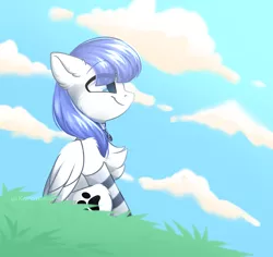Size: 3428x3235 | Tagged: safe, artist:koro-megasaki-andro4, derpibooru import, oc, oc:snow pup, unofficial characters only, pegasus, pony, chest fluff, clothes, cloud, cloudy, collar, commission, eye clipping through hair, female, grass, happy, hill, image, mare, pegasus oc, pet tag, png, side view, sitting, smiling, socks, solo, striped socks, sunny day, wings, ych result