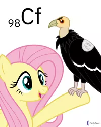 Size: 4000x5000 | Tagged: safe, artist:parclytaxel, derpibooru import, fluttershy, bird, pegasus, pony, vulture, series:joycall6's periodic table, .svg available, absurd resolution, ambiguous gender, california condor, californium, chemistry, condor, duo, female, image, mare, perching, periodic table, png, pun, simple background, smiling, vector, visual pun, white background