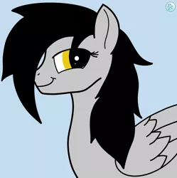 Size: 2344x2355 | Tagged: safe, artist:thunder arch, derpibooru import, oc, oc:lightning arch, unofficial characters only, pegasus, pony, black mane, bust, colored, female, flat colors, image, looking at you, mare, offscreen character, pegasus oc, png, portrait, pov, simple background, smiling, solo, wings