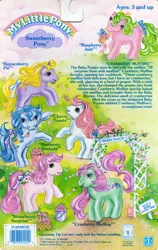 Size: 709x1119 | Tagged: safe, derpibooru import, official, blueberry baskets, boysenberry pie, cherry treats, cranberry muffins, raspberry jam, strawberry surprise, bee, insect, pony, backcard, backcard story, barcode, basket, berries, bow, g1, image, jpeg, mane bow, pun, sweetberry ponies, tail bow, trellis, vine