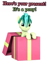 Size: 847x1080 | Tagged: safe, artist:pika-robo, derpibooru import, sandbar, pony, 3d, box, caption, colt, cute, image, image macro, looking at you, male, png, pony in a box, present, sandabetes, simple background, source filmmaker, text, transparent background