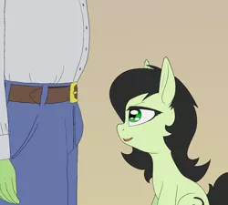 Size: 1800x1621 | Tagged: suggestive, artist:happy harvey, derpibooru import, oc, oc:anon, oc:anonfilly, earth pony, human, pony, belt, clothes, crotch bulge, drawn on phone, eyes on the prize, female, filly, image, implied foalcon, male, pants, png, shirt, sitting, standing, underage
