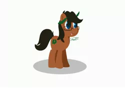 Size: 4096x2896 | Tagged: safe, artist:shooting star, derpibooru import, oc, oc:laurel crown, earth pony, pony, image, jpeg, lineless, male, minimalist, modern art, shading, solo, stallion