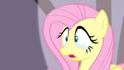 Size: 1920x1080 | Tagged: safe, derpibooru import, screencap, fluttershy, pegasus, pony, filli vanilli, crying, female, flutterguy, image, mare, open mouth, png, scary, shocked, solo, spotlight, tears of fear