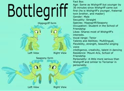 Size: 7458x5477 | Tagged: safe, artist:ethanjacobsyrosca, derpibooru import, oc, oc:bottlegriff, unofficial characters only, classical hippogriff, hippogriff, seapony (g4), absurd resolution, crystal, green background, image, jpeg, male, recolor, reference sheet, simple background, smiling, solo, twitterponies, vector