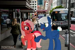 Size: 2048x1365 | Tagged: safe, artist:indonesiarailroadpht, derpibooru import, oc, oc:downvote, oc:snowy knight, ponified, unofficial characters only, earth pony, pegasus, pony, derpibooru, building, bus, bus stop, derpibooru ponified, dowy, image, irl, jpeg, meta, photo, ponies in real life, san francisco, show accurate, sidewalk, watermark