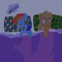 Size: 1200x1200 | Tagged: source needed, safe, artist:bokkitoki, derpibooru import, applejack, rainbow dash, appledash, female, image, lesbian, png, shipping, sleeping, snoring