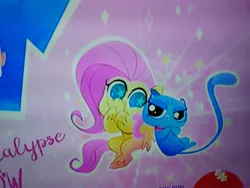 Size: 4160x3120 | Tagged: safe, derpibooru import, screencap, fluttershy, cat, pegasus, pony, cute-pocalypse meow, my little pony: pony life, spoiler:pony life s01e03, bubbles (pony life), duo, hooves on face, image, jpeg, photo, picture of a screen, starry eyes, title card, wingding eyes