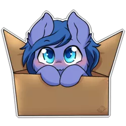 Size: 512x512 | Tagged: safe, artist:tokokami, derpibooru import, oc, oc:shadow blue, unofficial characters only, pony, blushing, box, cute, female, image, png, pony in a box, simple background, solo, sticker, transparent background, weapons-grade cute