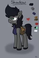 Size: 3403x5000 | Tagged: safe, artist:dark shadow, derpibooru import, oc, unofficial characters only, earth pony, pony, bag, frown, image, png, reference sheet, saddle bag, solo