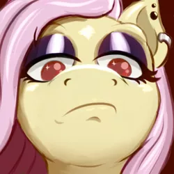 Size: 500x500 | Tagged: safe, artist:cocaine, derpibooru import, fluttershy, pegasus, fluttergoth, goth, image, looking at you, not impressed, pathetic, piercing, png