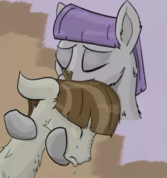 Size: 727x774 | Tagged: safe, artist:paracompact, derpibooru import, maud pie, mudbriar, earth pony, pony, bust, consoling, crying, eyes closed, female, fluffy, image, male, mare, maudbriar, nose wrinkle, png, sad, shipping, simple background, stallion, straight
